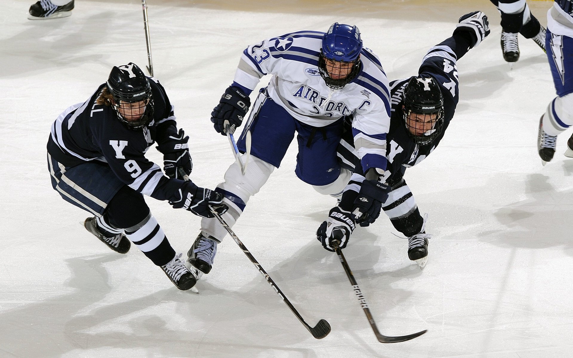 “美洲狮队在冠军赛中的坚韧表现令全世界震惊”
